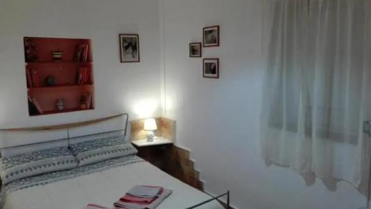 Zagara di Sicilia - 56