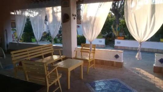 Zagara di Sicilia - 145