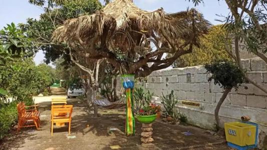 Zagara di Sicilia - 76