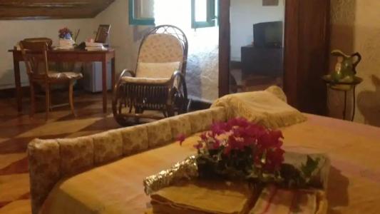 Zagara di Sicilia - 29