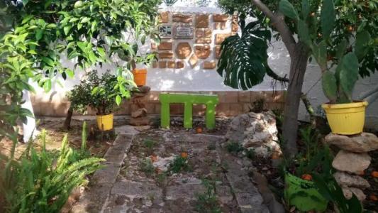 Zagara di Sicilia - 83