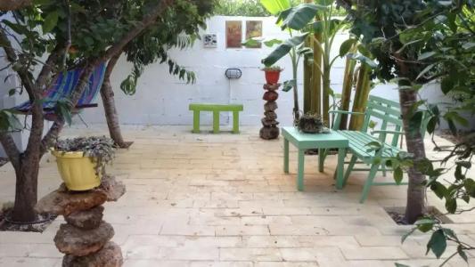 Zagara di Sicilia - 34