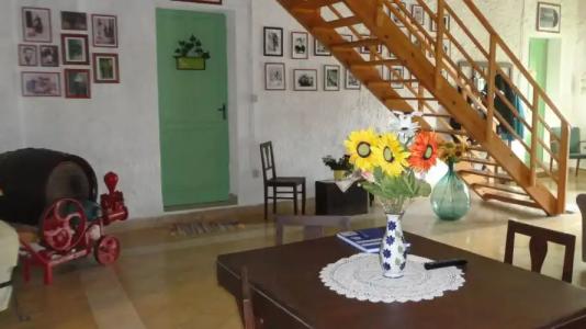 Zagara di Sicilia - 8