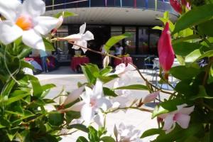 Hotel «Torre», Беллария-Иджеа-Марина