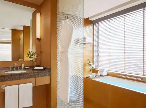 Grand Hyatt Mumbai and Residences - 19