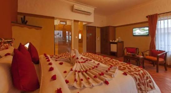 Green Park Chitwan - 98