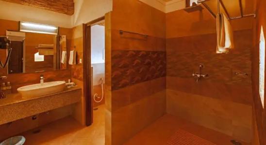 Green Park Chitwan - 101