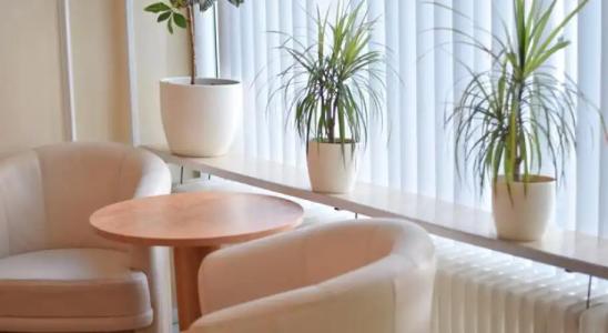 Mondial Comfort - 12