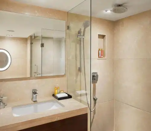 President - Ihcl Seleqtions - 108