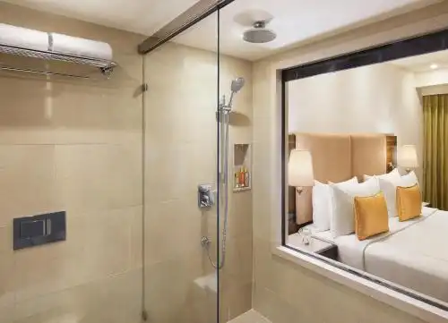 President - Ihcl Seleqtions - 102