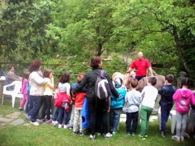 Il Borgo della Colomba - 56