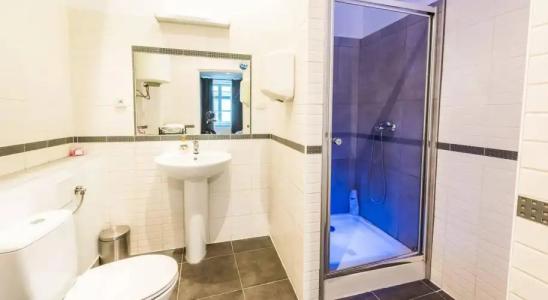 Flamingo Premium - 11