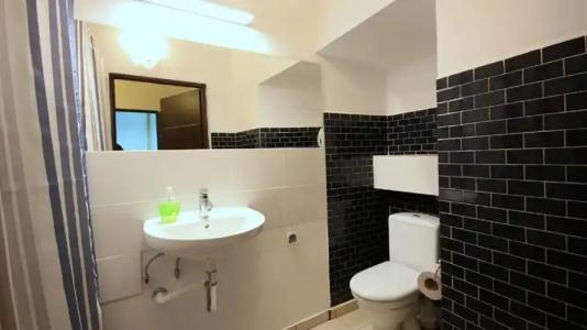 Flamingo Premium - 6