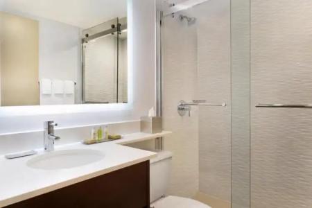 DoubleTree by Hilton Toronto Airport West - 30