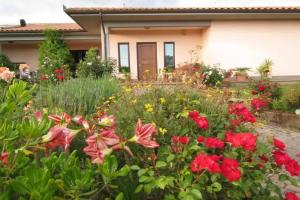 B&B Il Vigneto Tuscania, Тускания