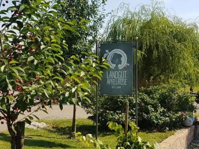 Landgut Apfelrose - 31