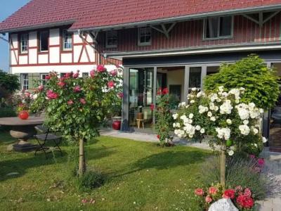 Landgut Apfelrose - 30