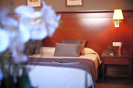 Golden Tulip Andorra Fenix - 58