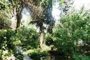 Двухкомнатная квартира, Ялта