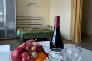 Студия, Зеленая Поляна