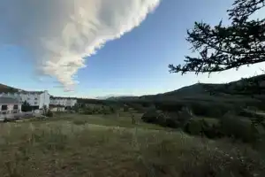 Студия, Зеленая Поляна