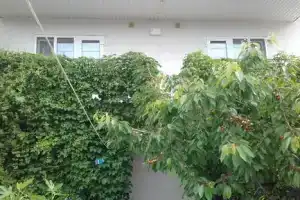 Двухэтажный коттедж, Судак