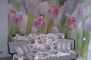 Студия, Серпухов