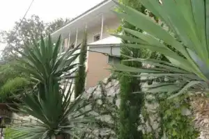 Коттедж, Кацивели