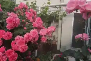 Двухэтажный коттедж, Балаклава