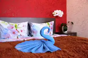 Студия, Саратов
