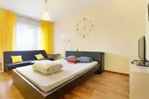 Студия, Петрозаводск