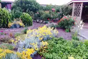 Коттедж, Курортное