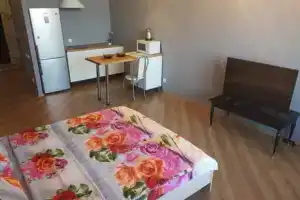 Студия, Воронеж