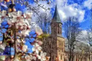 Однокомнатная квартира, Калининград