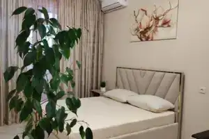 Однокомнатная квартира, Воронеж