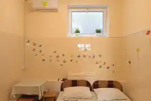 Студия, Новый Свет