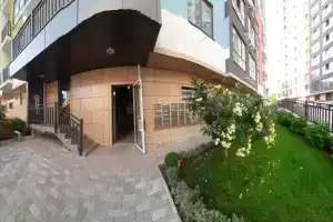 Студия, Адлер