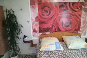 Комната, Лодейное Поле
