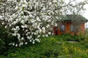 Одноэтажный коттедж, Селижарово