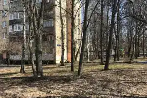 Однокомнатная квартира, Внуково