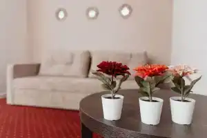 Двухкомнатная квартира, Горячий Ключ