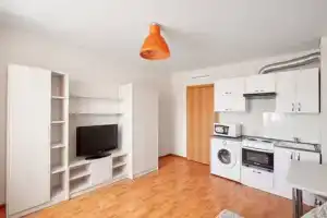 Студия, Курган