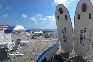 Студия, Сочи