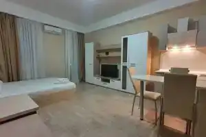 Студия, Адлер