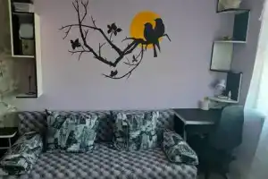 Студия, Петрозаводск