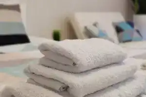 Студия, Елизово