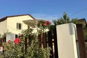 Комната, Молочное