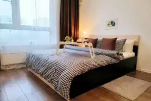 Студия, Москва