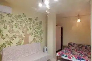 Студия, Сочи