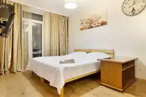 Студия, Петрозаводск